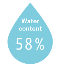 1751bdd088313b-plate-img15f84116788b12