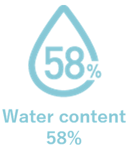 1798946d03e276-plate-img160a637116fa1f