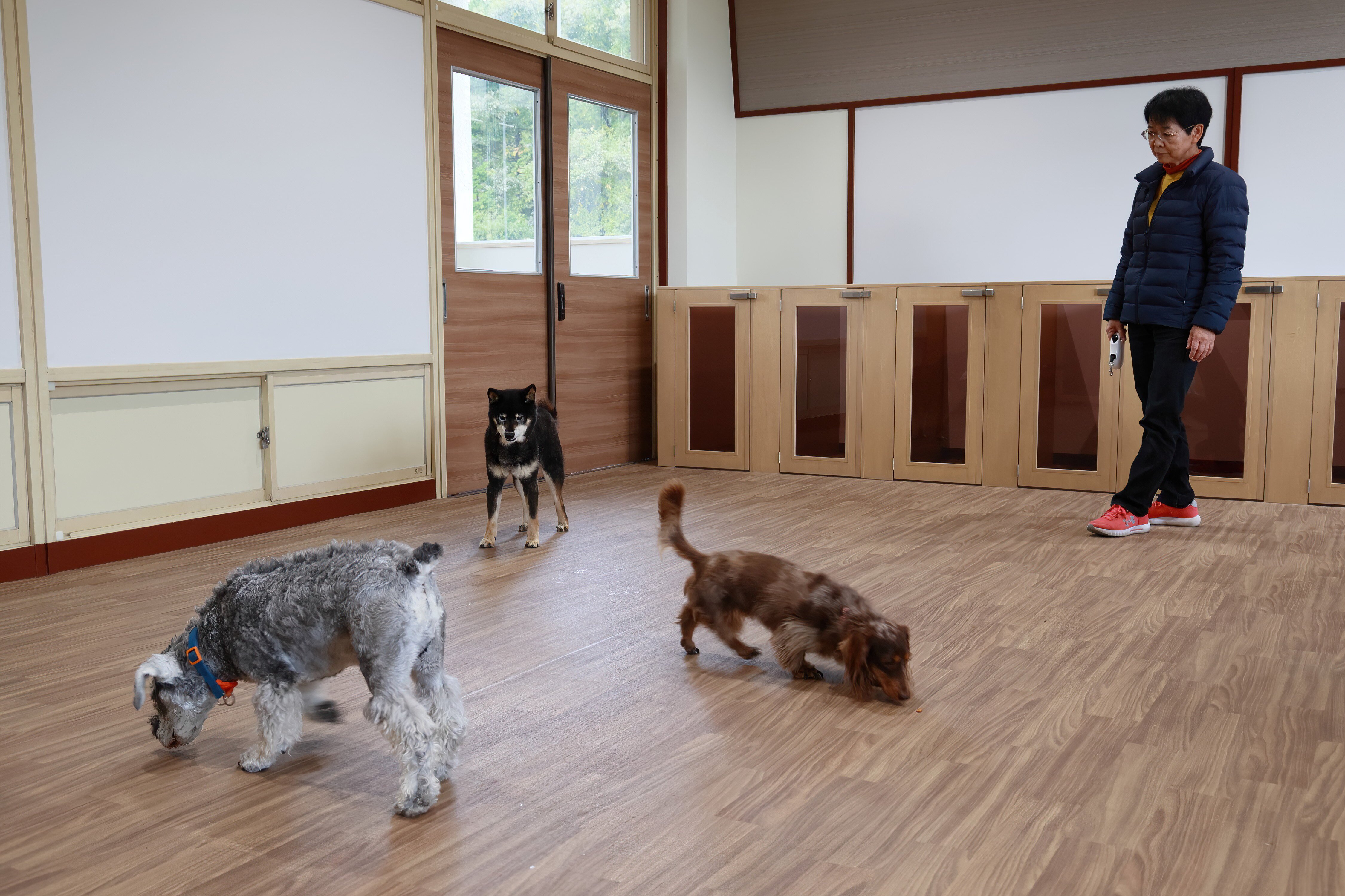 18456111052383-plate-img1636a005e3c7ad