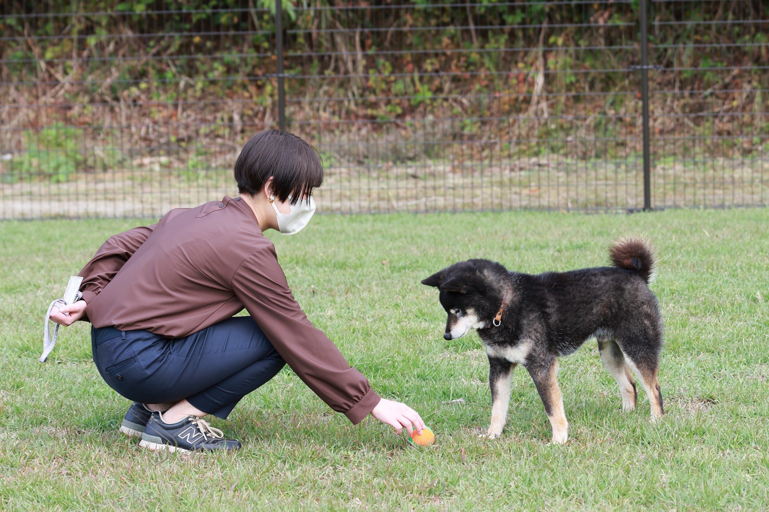 1845611e6de23b-plate-img1636a008b0ab96