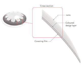 2 WEEK Menicon Rei 5