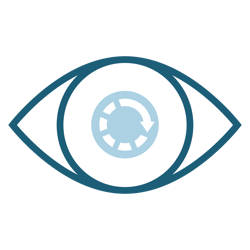 Auge_MCL3