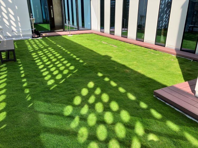  Menicon launches new lawnmowing-free, eco-friendly Zoysia grass “Naruoturf®” in Japan - Creation of sustainable greenery -