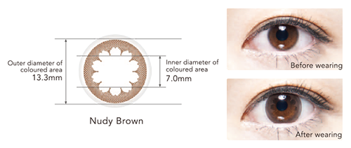 2 WEEK Menicon Rei 3